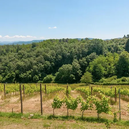 Holiday home Podere Papera - Chianti Hills